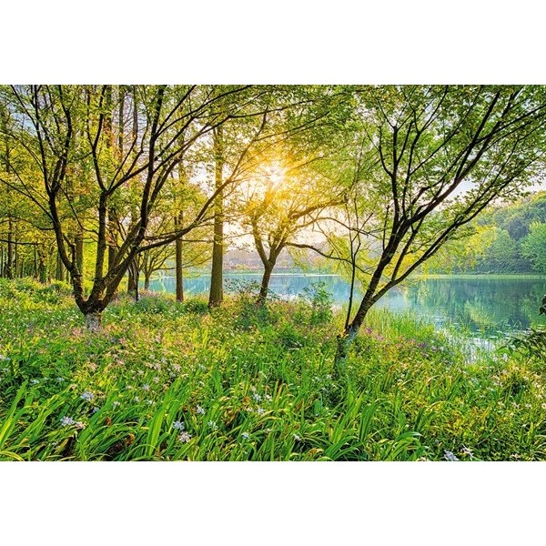 Fotomural SPRING LAKE