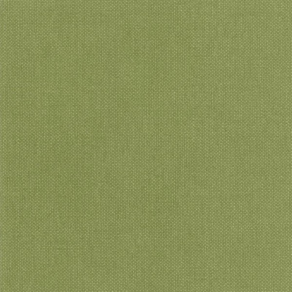 Papel de parede LISO VERDE WILD_10499_74_14