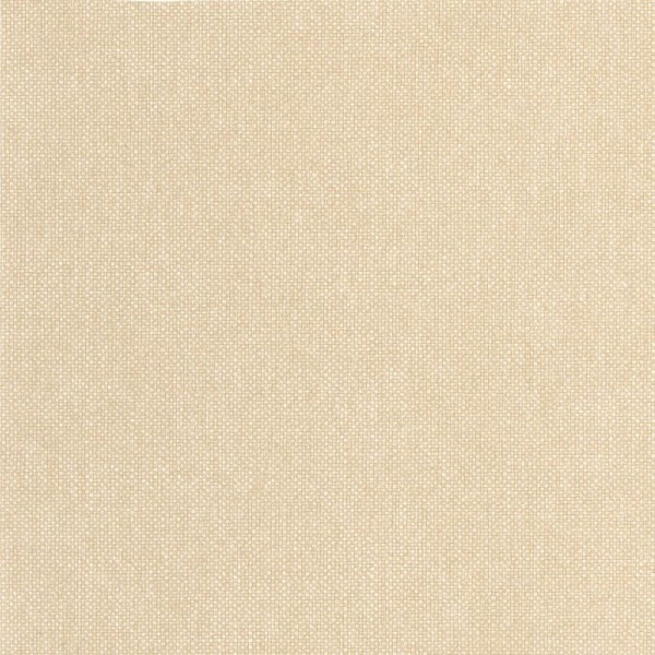 Papel pintado LISO BEIGE WILD_10499_13_00