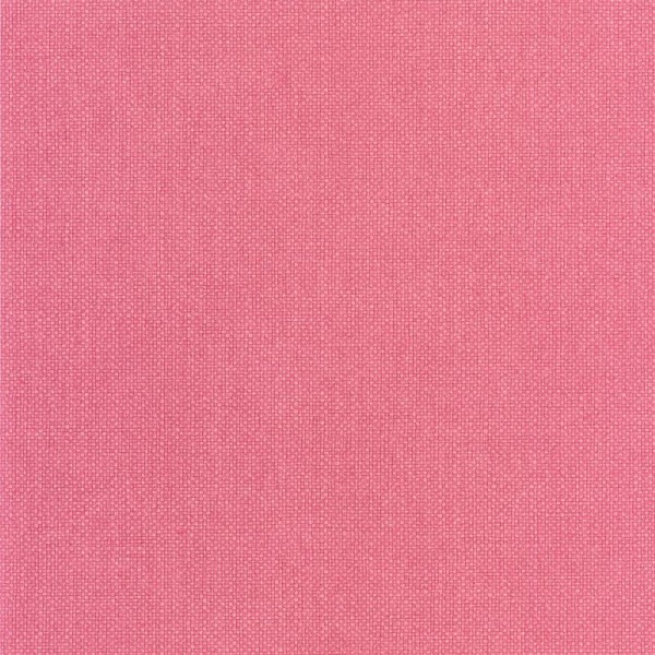 Papel de parede LISO ROSA WILD_10499_40_03