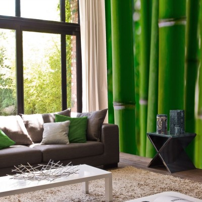 Fotomurales decorativos: una idea fácil y económica para decorar tu casa -  Grupo BPP